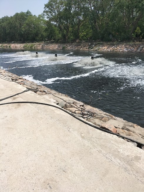 Sewage Treatment Plant